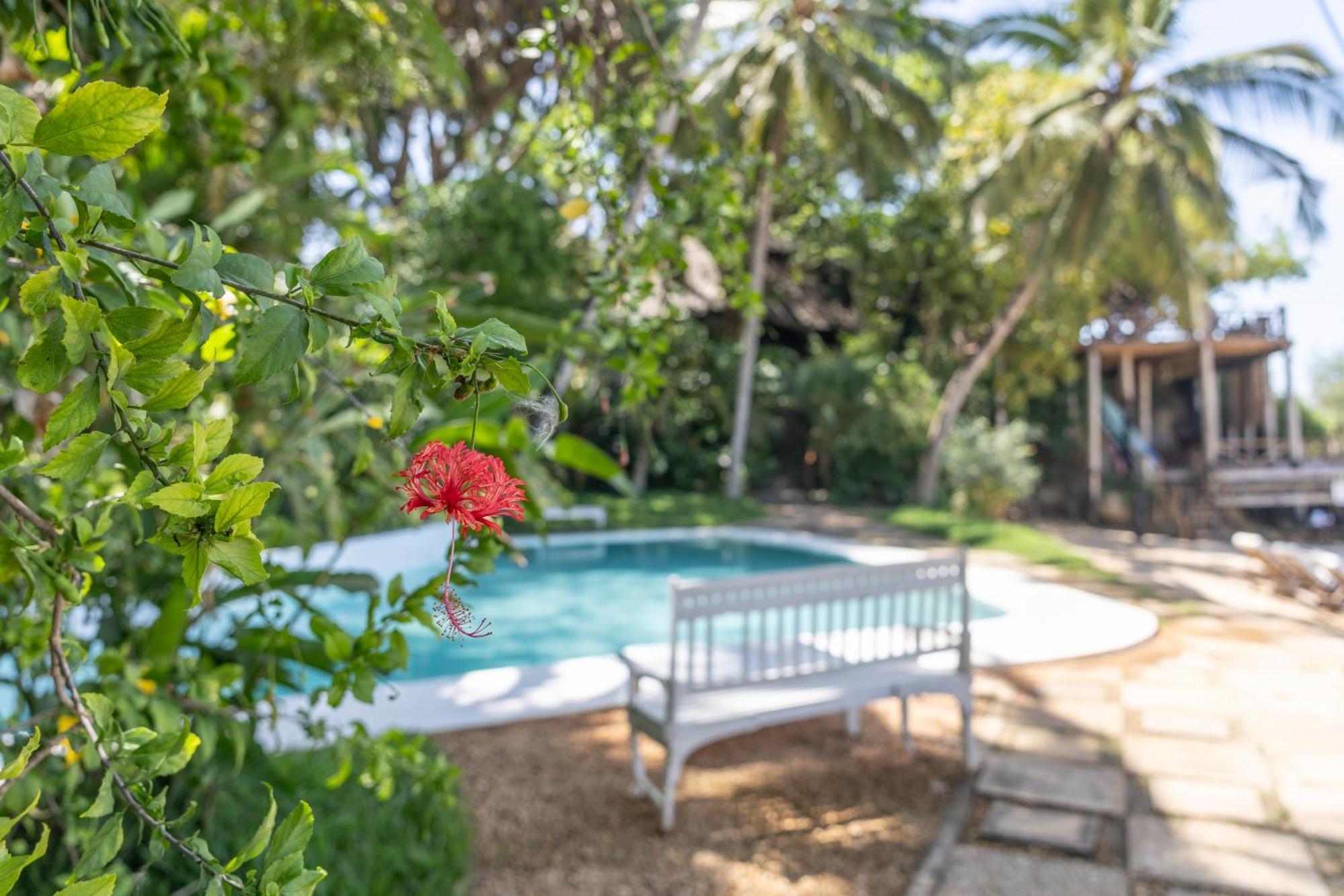 Mbweni Ruins & Gardens Previously Jungle Paradise Zanzibar Exterior foto