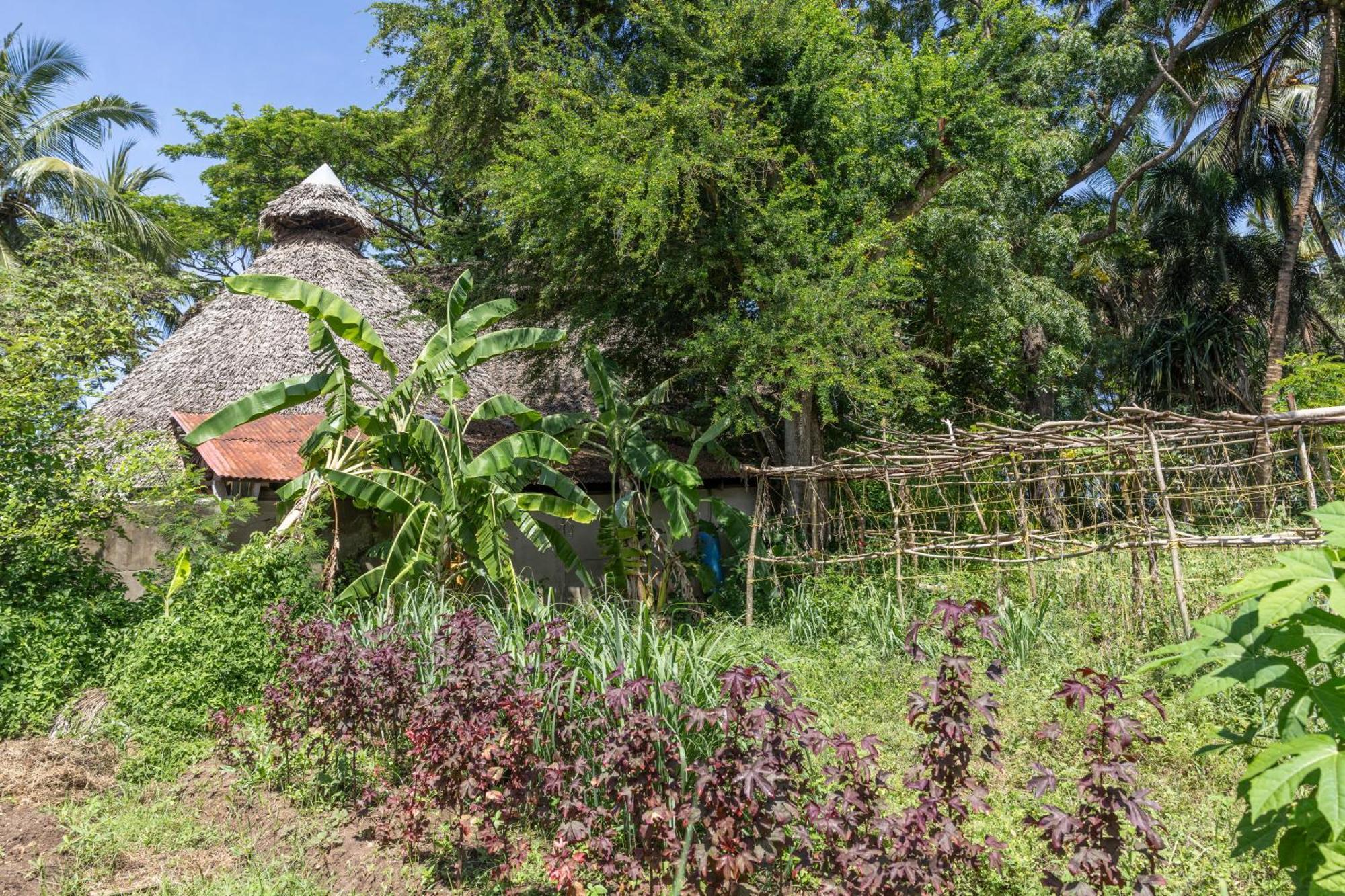 Mbweni Ruins & Gardens Previously Jungle Paradise Zanzibar Exterior foto