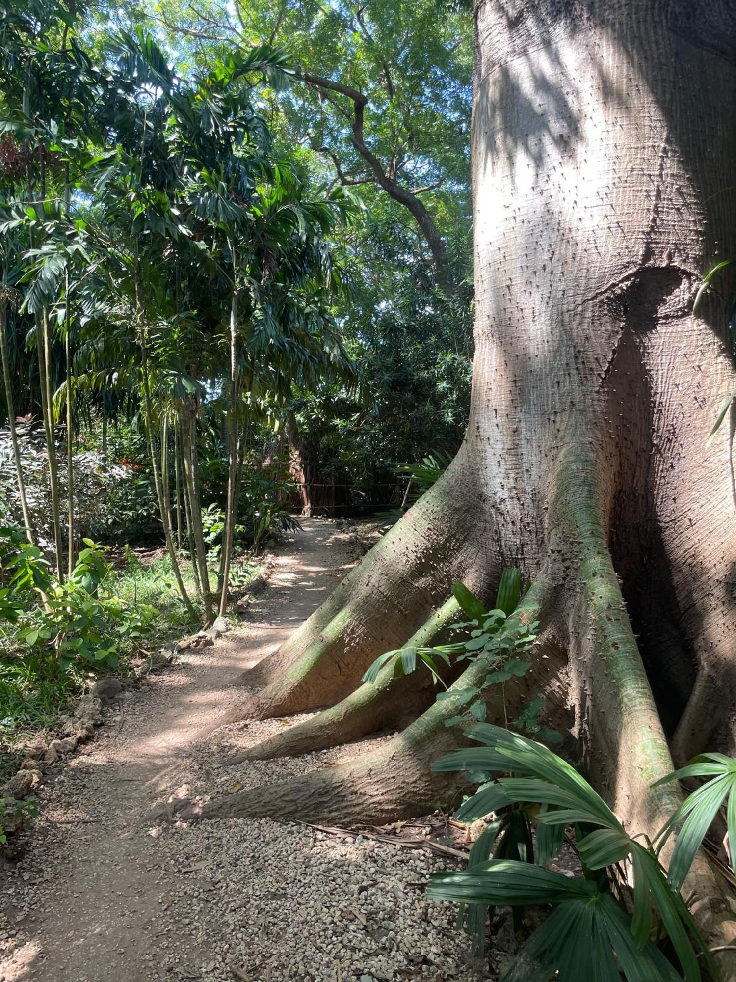 Mbweni Ruins & Gardens Previously Jungle Paradise Zanzibar Exterior foto