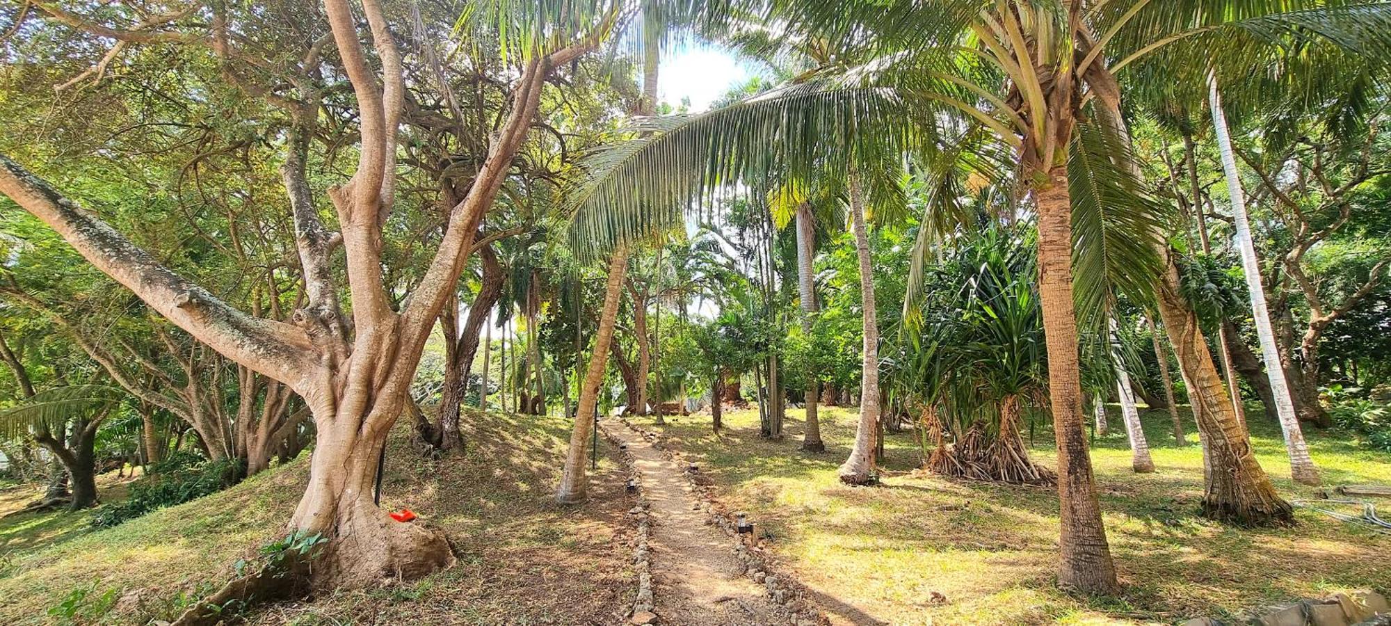 Mbweni Ruins & Gardens Previously Jungle Paradise Zanzibar Exterior foto