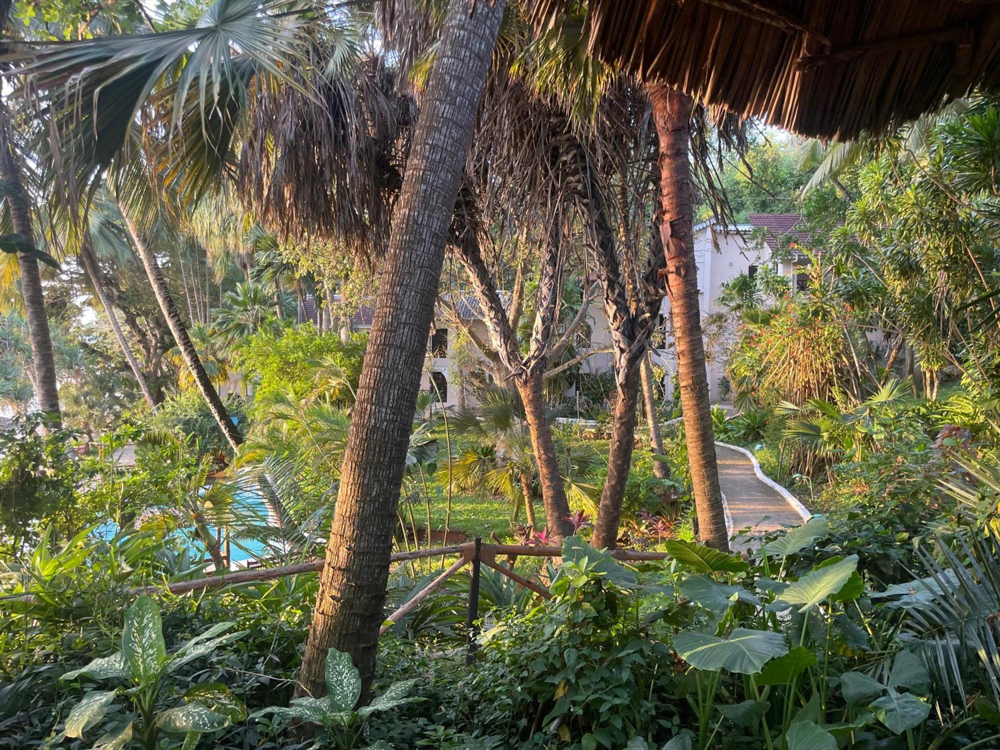 Mbweni Ruins & Gardens Previously Jungle Paradise Zanzibar Exterior foto