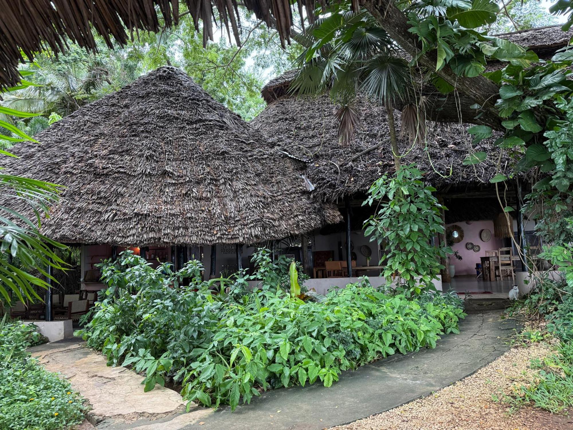 Mbweni Ruins & Gardens Previously Jungle Paradise Zanzibar Exterior foto